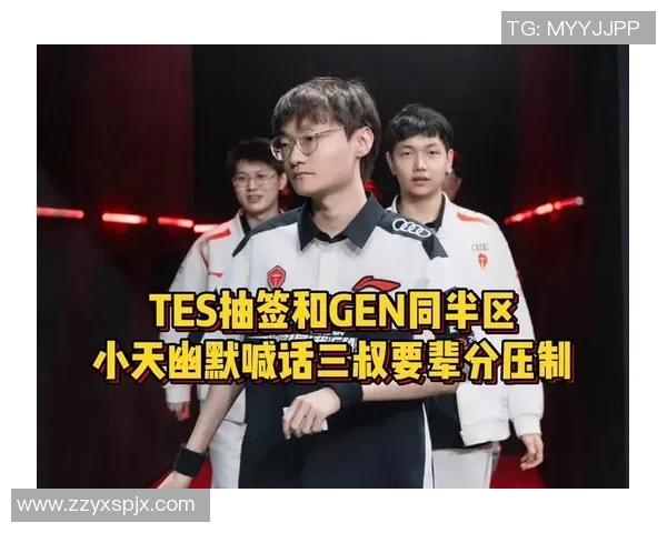 TES比赛经验引发热议王者荣耀职业赛场的争议与反思