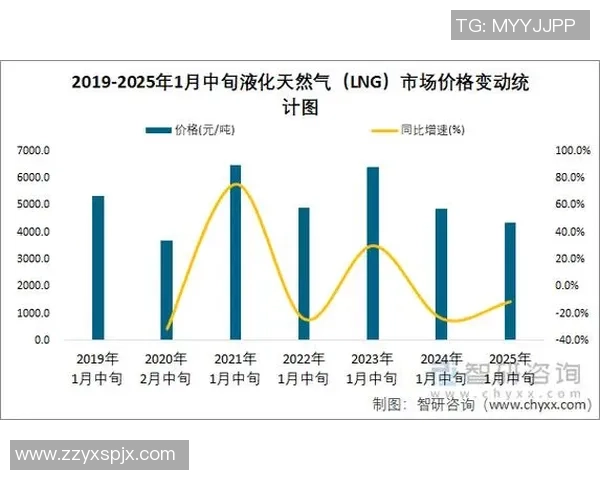 数据分析：液化天然气技术表现及其市场影响研究
